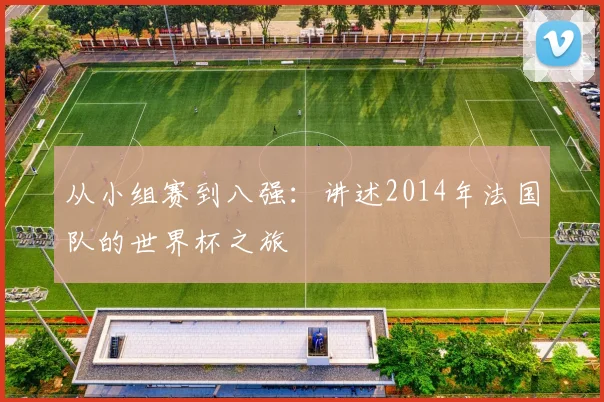 从小组赛到八强:讲述2014年法国队的世界杯之旅
