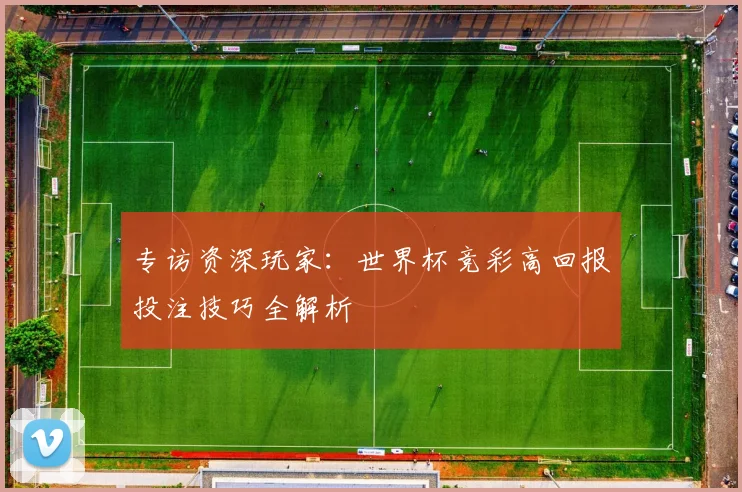 专访资深玩家：世界杯竞彩高回报投注技巧全解析