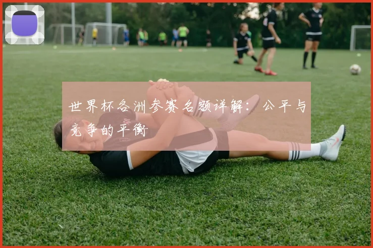 世界杯各洲参赛名额详解:公平与竞争的平衡